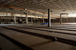 Redford Bowl